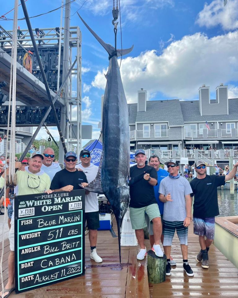 After an unprecedented lack of fish, a threatened blue and white marlin were unfortunately landed on the 4th day of the White Marlin Open. Unbelievably sponsorship is provided by corporations like @MercedesBenz & @UnderArmour. Read more facebook.com/BluePlanetSoc/…