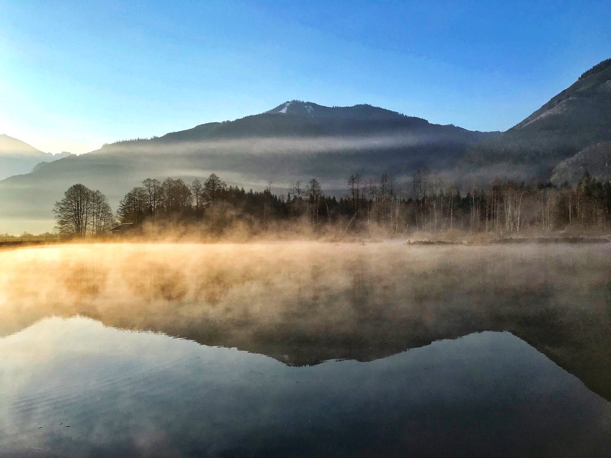 Gm frens 🌞 have a great Weekend