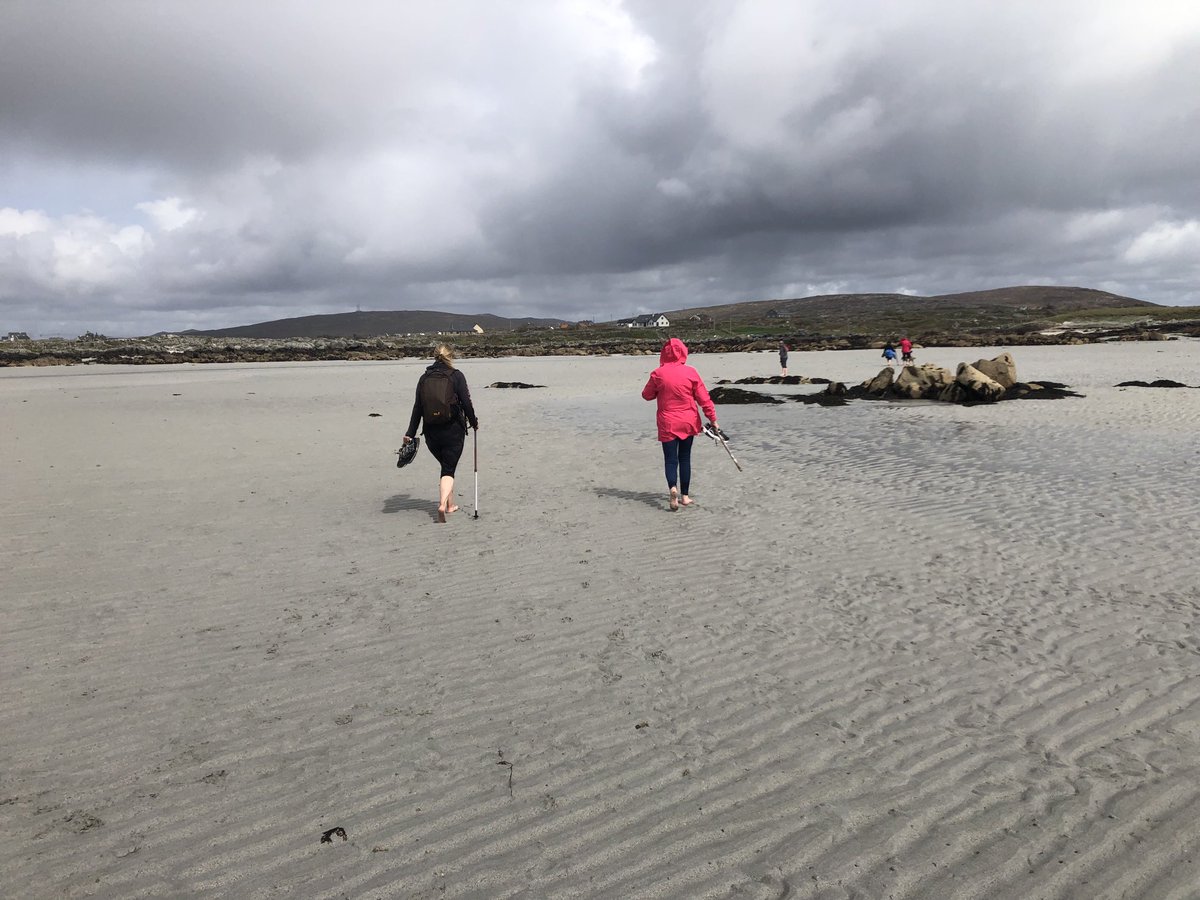 Siúlóid Oileán Fhínise , ceann do ná siúlóidi mar pháirt do Fhéile Siúlóid Charna 9-11ú Mean Fómhair. Feenish Island walk, one of the walks during Carna Walking Festival 9-11 th September