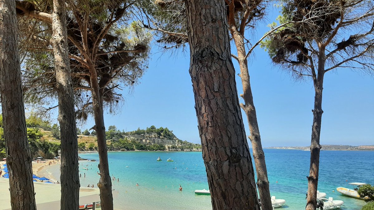 RachelW48353786's tweet photo. Fantastic holiday with the best of friends, loved every minute 🇬🇷☀️🍹🏖 https://t.co/7NFTTpF04p