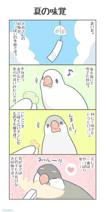 夏の味覚。#buncho #javasparrow #文鳥 