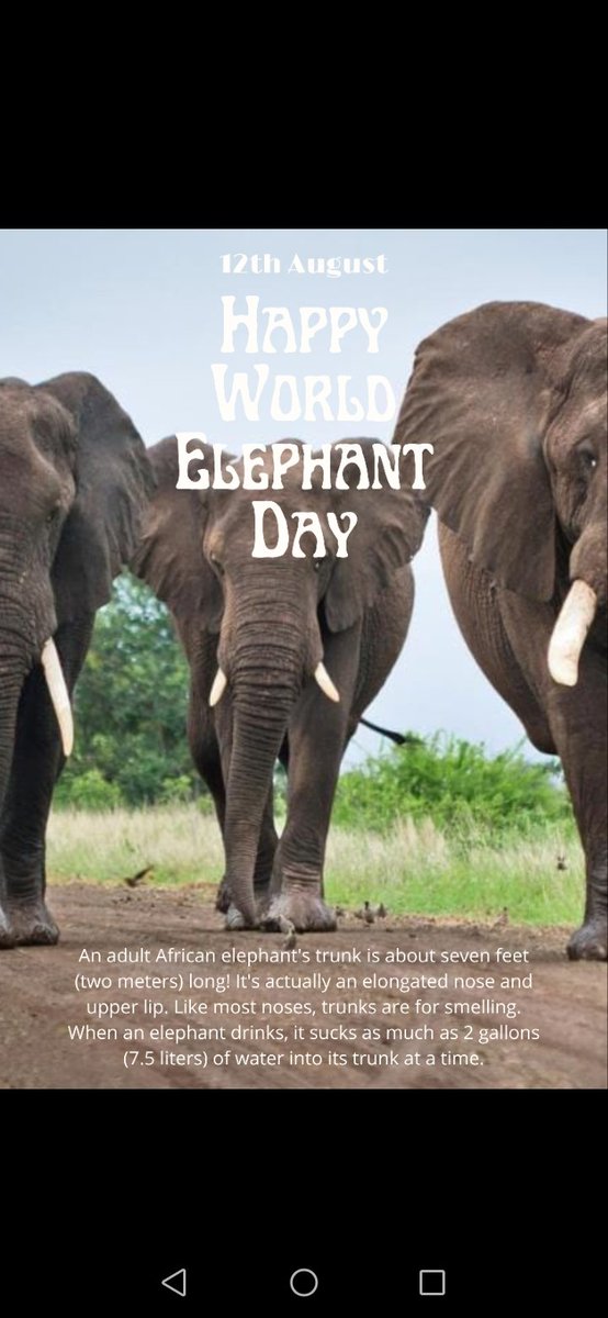 kami_mwansa's tweet photo. African elephant's are listed as vulnerable while Asian elephants are listed as endangered. Here's a cool fact why we should save them. #ecosystemreset #elephantday #elephantday22 #EcosystemRestoration @wwfzambia https://t.co/TOi9yWvMpC