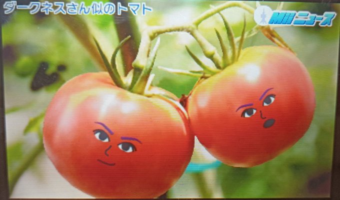 トマトのtwitterイラスト検索結果