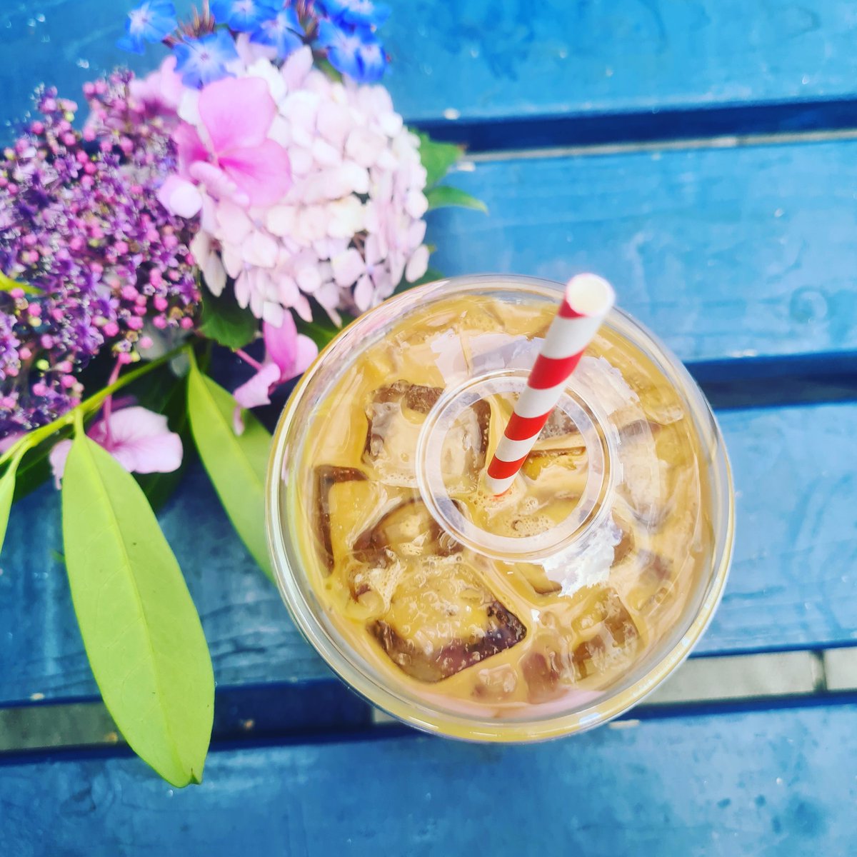 Pippin's Corner tweet media