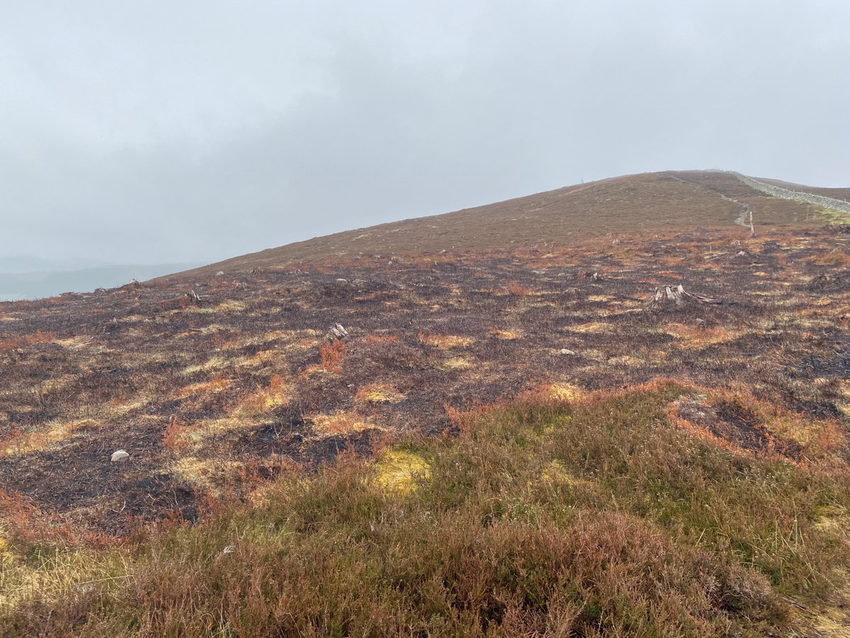 It is time for change! #BiodiversityCollapse #ClimateCrisis We can't continue forcing our land to remain in this depleted state, culling native wildlife, draining, burning and over grazing for one species to be shot. <a href="/MairiMcAllan/">Màiri McAllan</a> <a href="/lornaslater/">Lorna Slater</a>  hughwebsterauthor.wordpress.com/2020/08/12/bas…