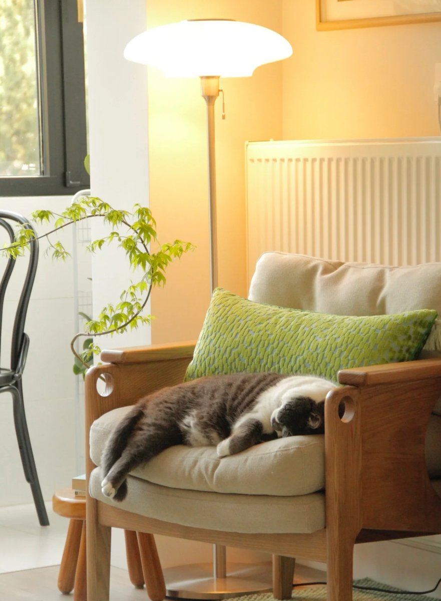 aucw2's tweet photo. 🌤 The aim of my working hard is to ensure my cat can live a better life 😹😹
📸 | QSMSU
#cozyhome #cozyroom #home #homelover #homesweethome #design #designinspiration #inspiration #inspire #flat #designinspiration #designer #interiordesign #homedecor #pet #cat https://t.co/AweMk2IrzO