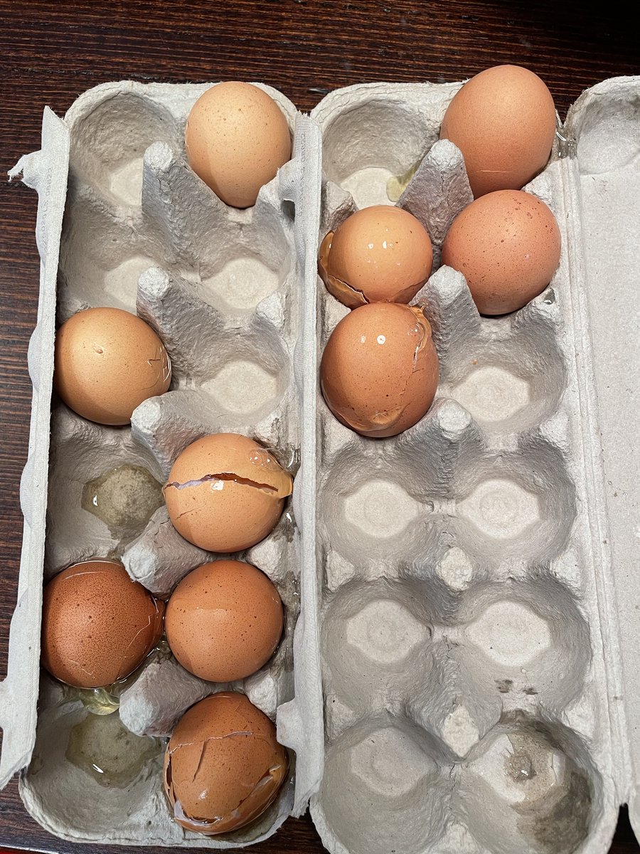 SnappySarzie's tweet photo. Dear @Coles is there anyway you can alert your drivers to fragile goods in your bagging? #muchsad #didnoteggcel #yolkcantbeserious https://t.co/cI0KKXehcb