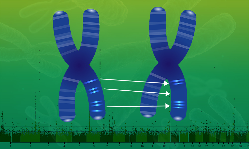 Copy number variation (CNV) in the genome can lead to complex human diseases, including neurological disorders. 

CNest is a new, open source method for robust CNV discovery from whole genome sequencing datasets. 

embl.org/news/research-…