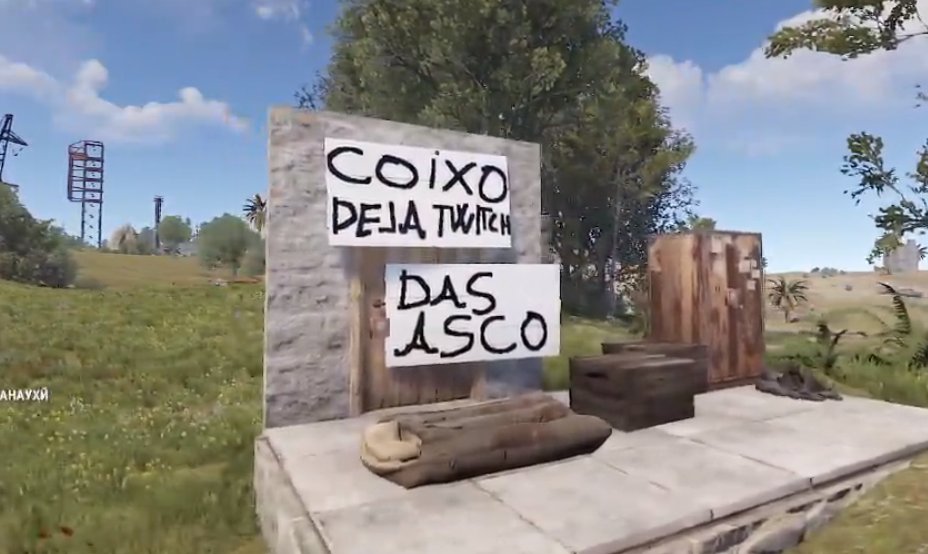 Coixo tweet media