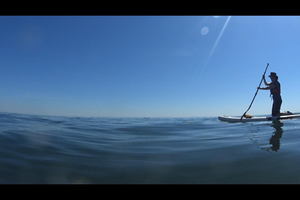 info_specific's tweet image. ☀️Some stunning #solarsnaps from our Comms manager, Sharon.

😎Breaking in her new paddleboard. Who wants to be in the sea today? Meeee!