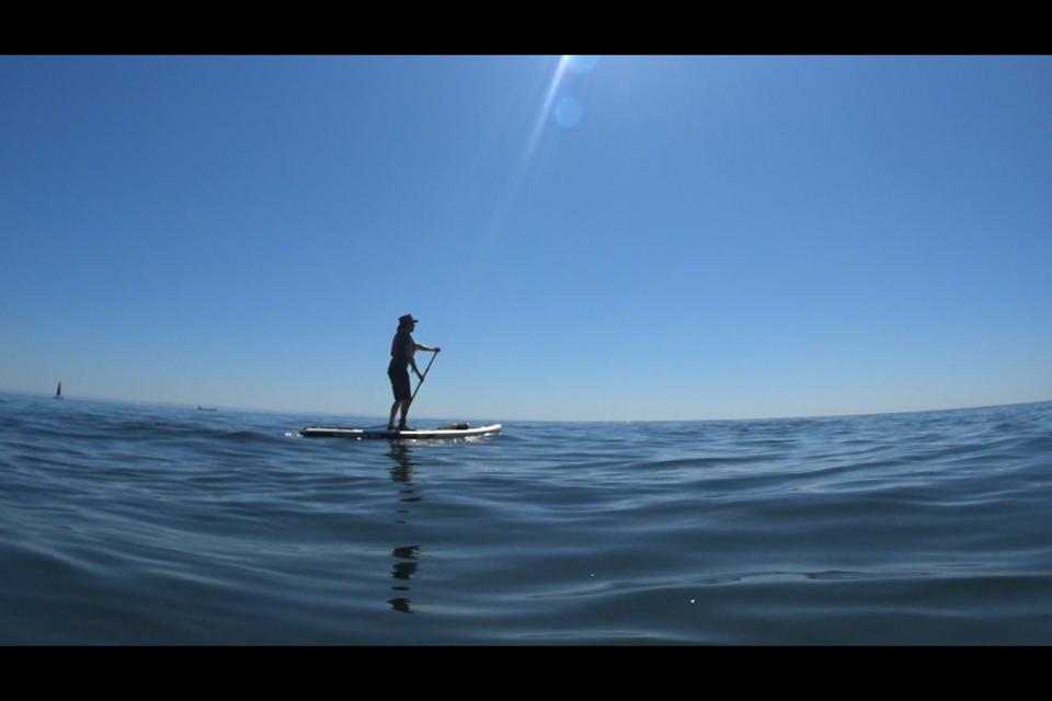 info_specific's tweet image. ☀️Some stunning #solarsnaps from our Comms manager, Sharon.

😎Breaking in her new paddleboard. Who wants to be in the sea today? Meeee!