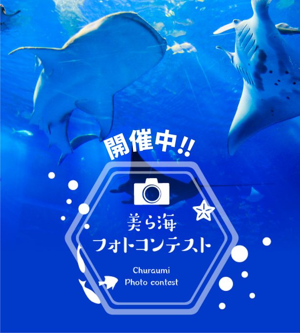 海洋博公園サマーフェスティバル21 第43回海洋博公園花火大会 22年中止 の日程 開催情報 花火大会22 ウォーカープラス