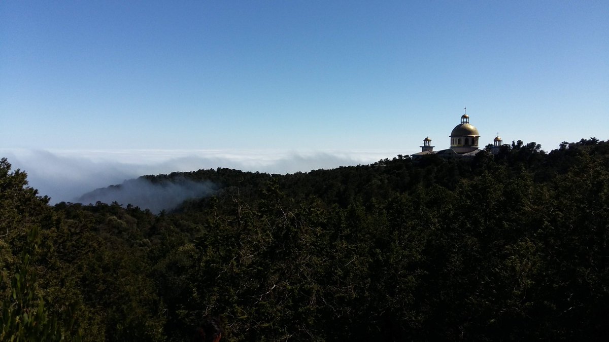 Hadgitourism's tweet photo. East of #Atsbi, at the northern end of #Desaa Forest, close to the border with Afar, #MariamDibo is a church in the jungle, completely surounded by desnse forest of indigenous trees. It's ecosystem creates amazing buffering zone between the hot desert & cold highland in #Tigrai. https://t.co/of34jf0Lkv
