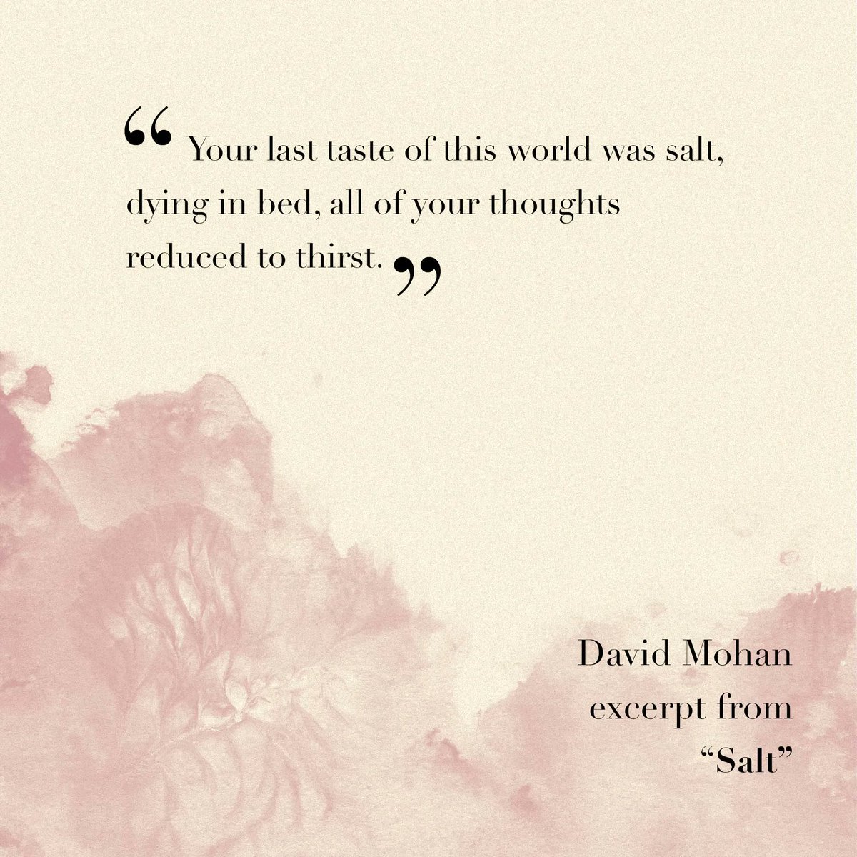 Our quote for you today is coming from the pages of Issue 04: Transitions and a piece written by David Mohan, called 'Salt'. A poet and short story writer based in Dublin, Ireland, Mohan's poetry has been nominated for The Pushcart Prize and won the Christopher Hewitt Award.