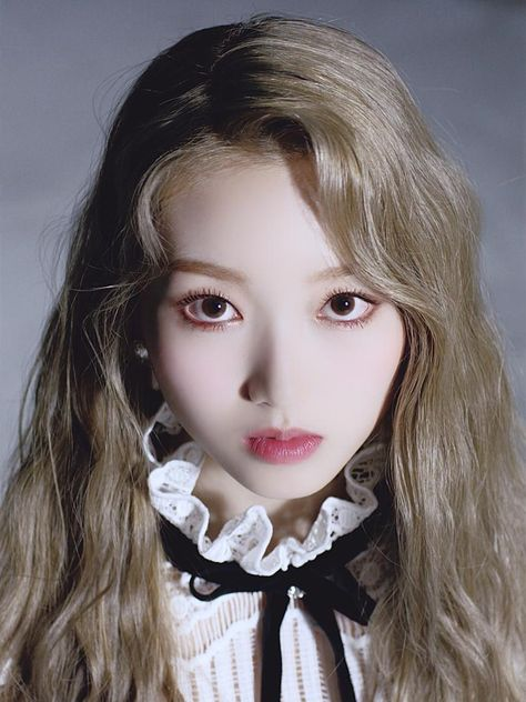 LoonaAsCats's tweet photo. 🦋 | one &amp; only by gowon https://t.co/dBbqlwUgXm