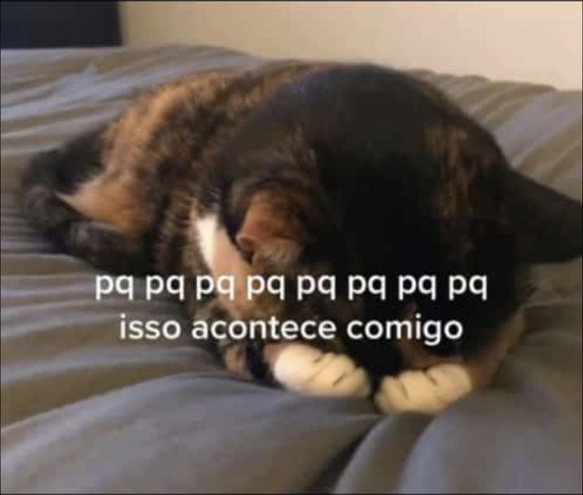 𝘵𝘢𝘮𝘢𝘬𝘪 (@shypallet) on Twitter photo 