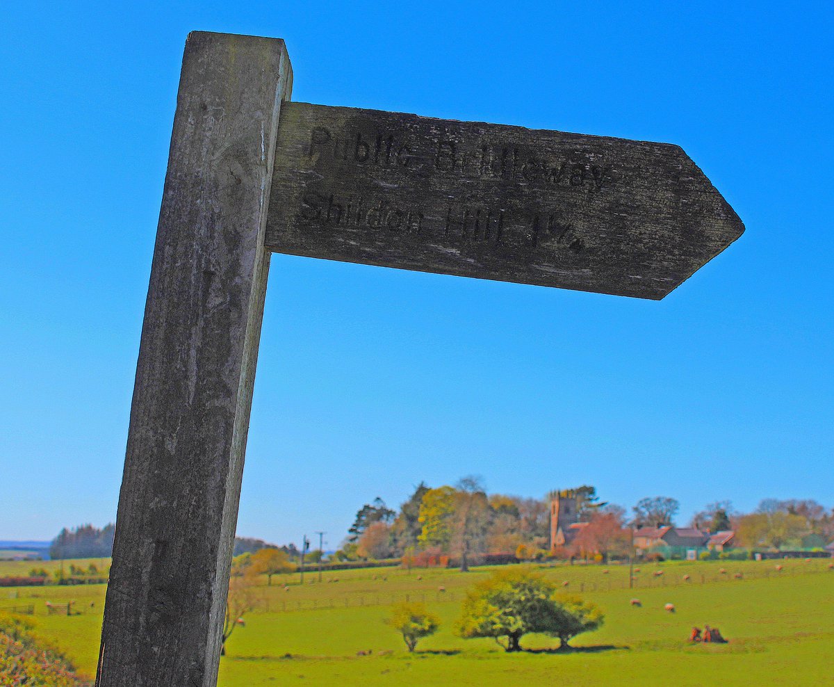 MD_Briggs's tweet photo. Pointing the way to Shildon Hill from Newton #Northumberland on #fingerpostfriday....
Shildon Hill is an iron age fort with great views across the #Tyne Valley to #Slaley and County #Durham in the distance https://t.co/qpdtooMtwy