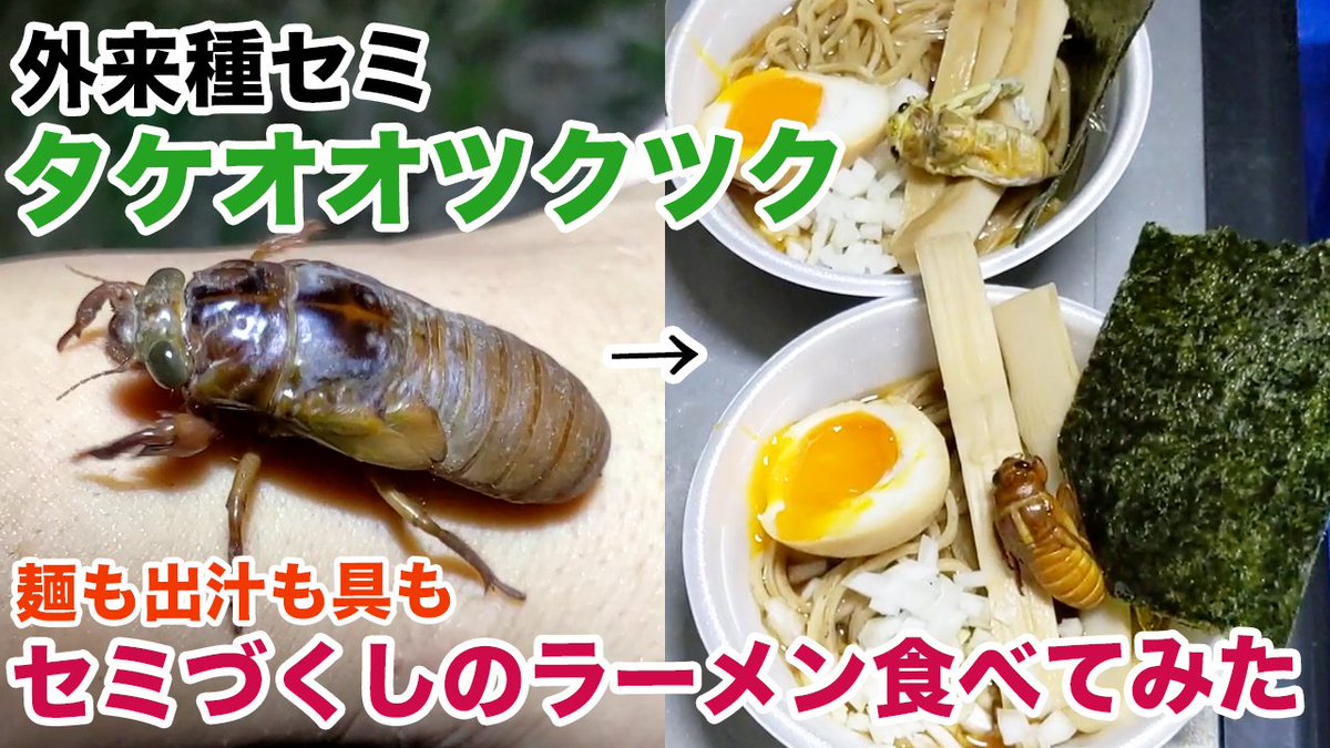 YouTube】輸入された観賞用の竹についてこっそり日本に入ってきたとい