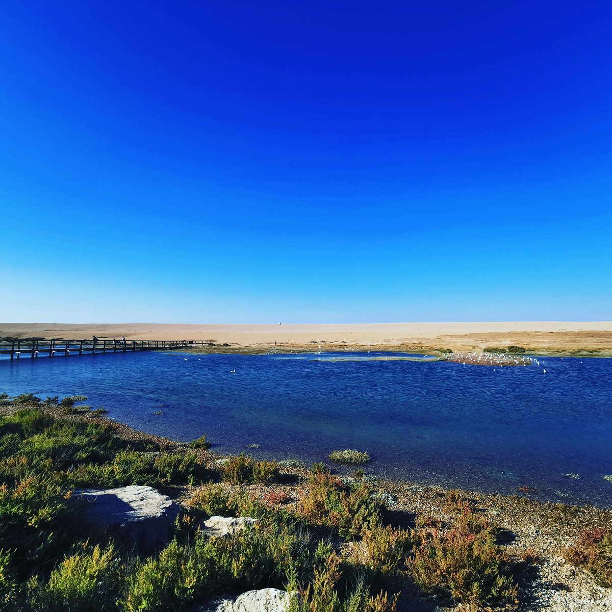 TasteChesil's tweet photo. Why travel to the Mediterranean when we have views like this on our doorstep 👌
#dorset #jurassiccoast #weymouth #portland #photooftheday https://t.co/S9nHFqA6YF