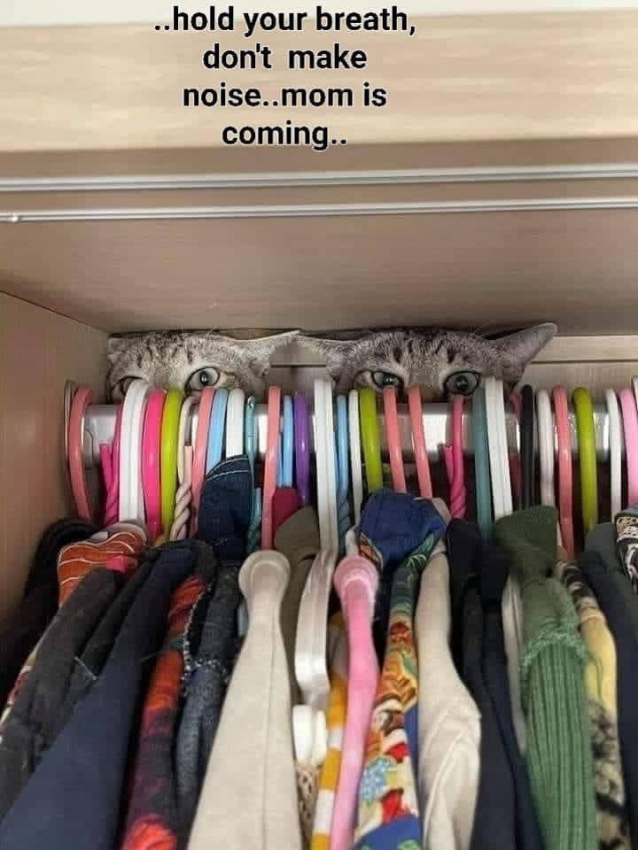 DANK ANIMAL IMAGES (@parasatwa) on Twitter photo 