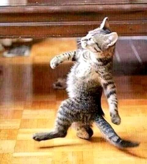 Edwin Rotich (@rotichedwin21) on Twitter photo #SundownerKBC vile naingia after siasa na election. Good evening <a href="/CatherineNdonye/">Catherine Ndonye HSC</a> <a href="/kbcenglish/">KBC English Service</a> #SundownerKBC vile naingia after siasa na election. Good evening <a href="/CatherineNdonye/">Catherine Ndonye HSC</a> <a href="/kbcenglish/">KBC English Service</a>