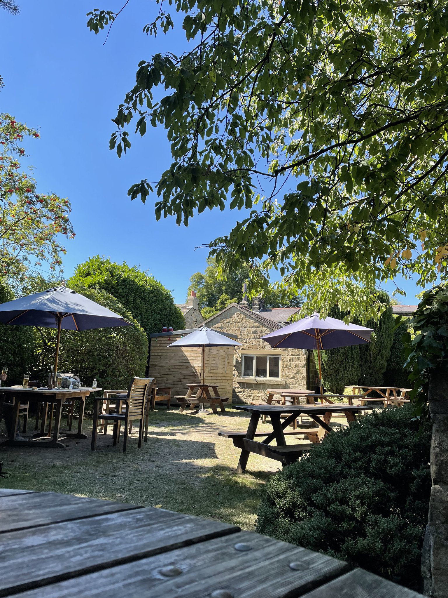 Barbara Carter☕️ on Twitter "Shady spot in pub garden. Went for the