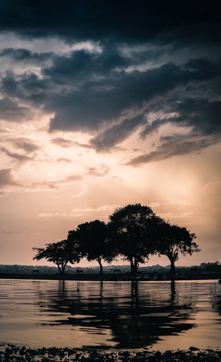 ritheesh sagar tweet media