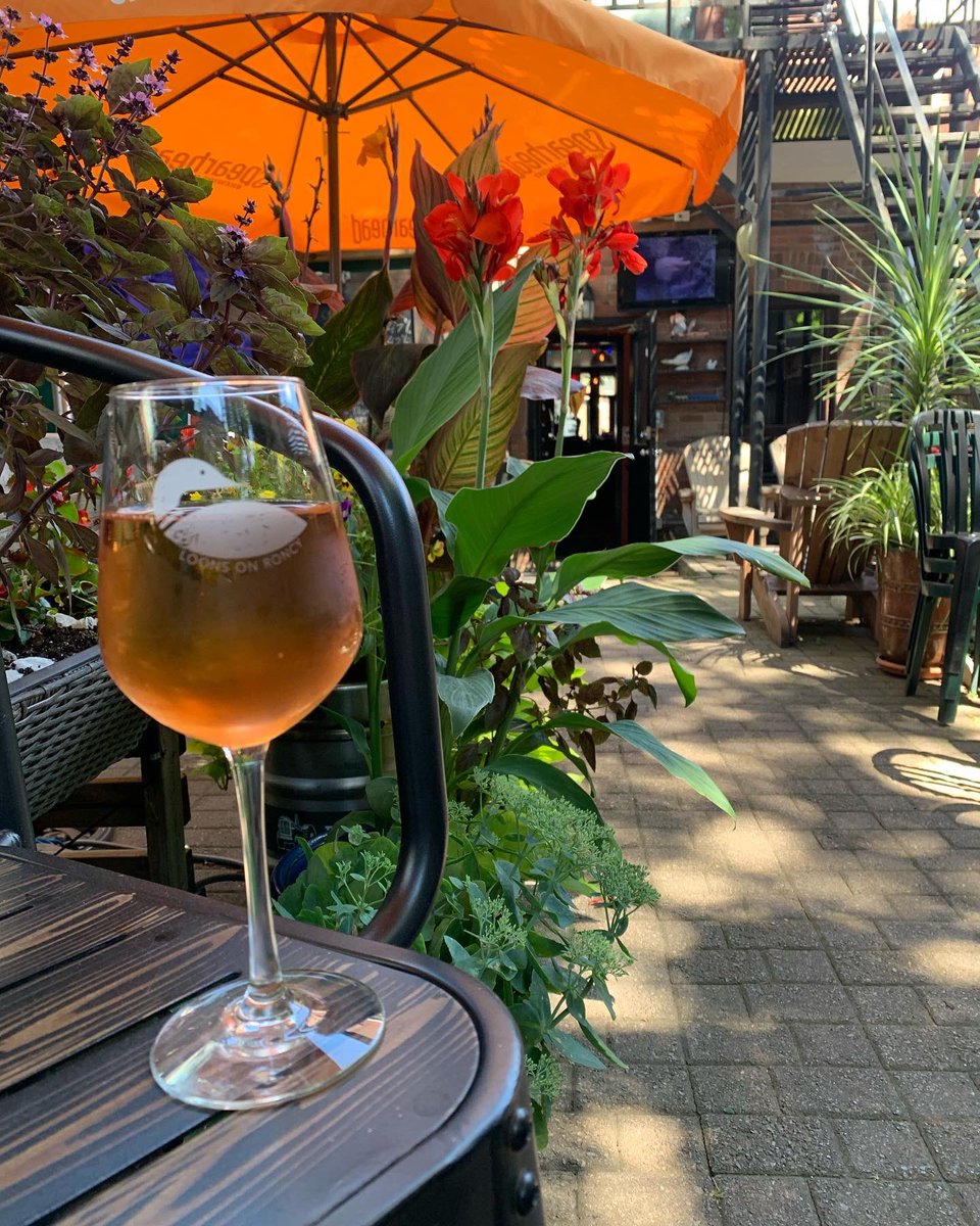 LoonsPub's tweet photo. It’s a gorgeous Friday on our Patio. A nice breeze in the shade with enough heat to keep you comfortable. Patio is open till 2am. 
.
#blogto #toronto #summer #summerintoronto #august #patio #patioweather https://t.co/sr8BQusSmD