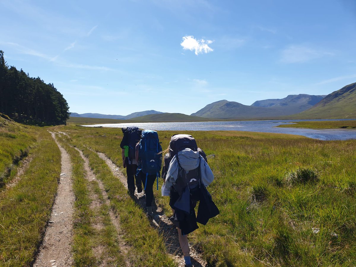 EDC Outdoor ED tweet media