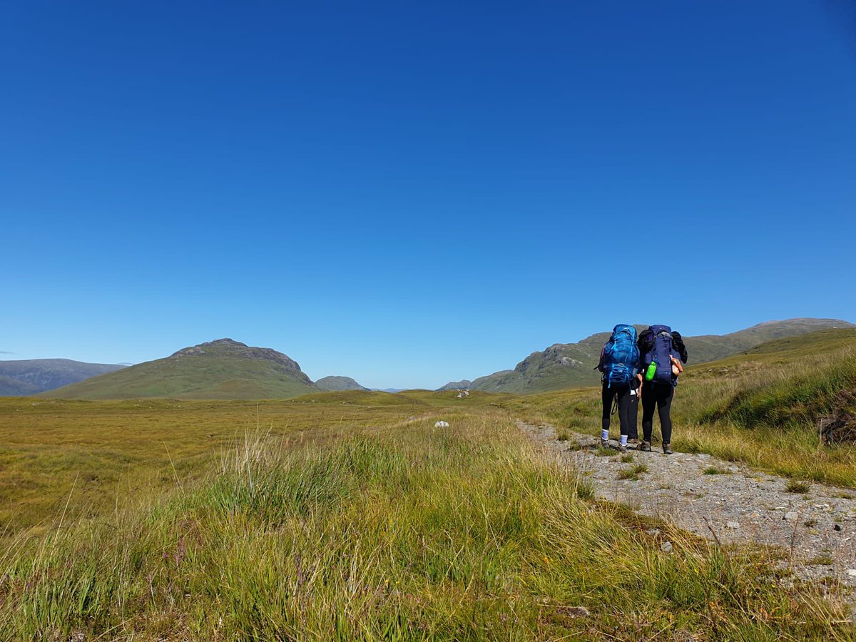 EDC Outdoor ED tweet media