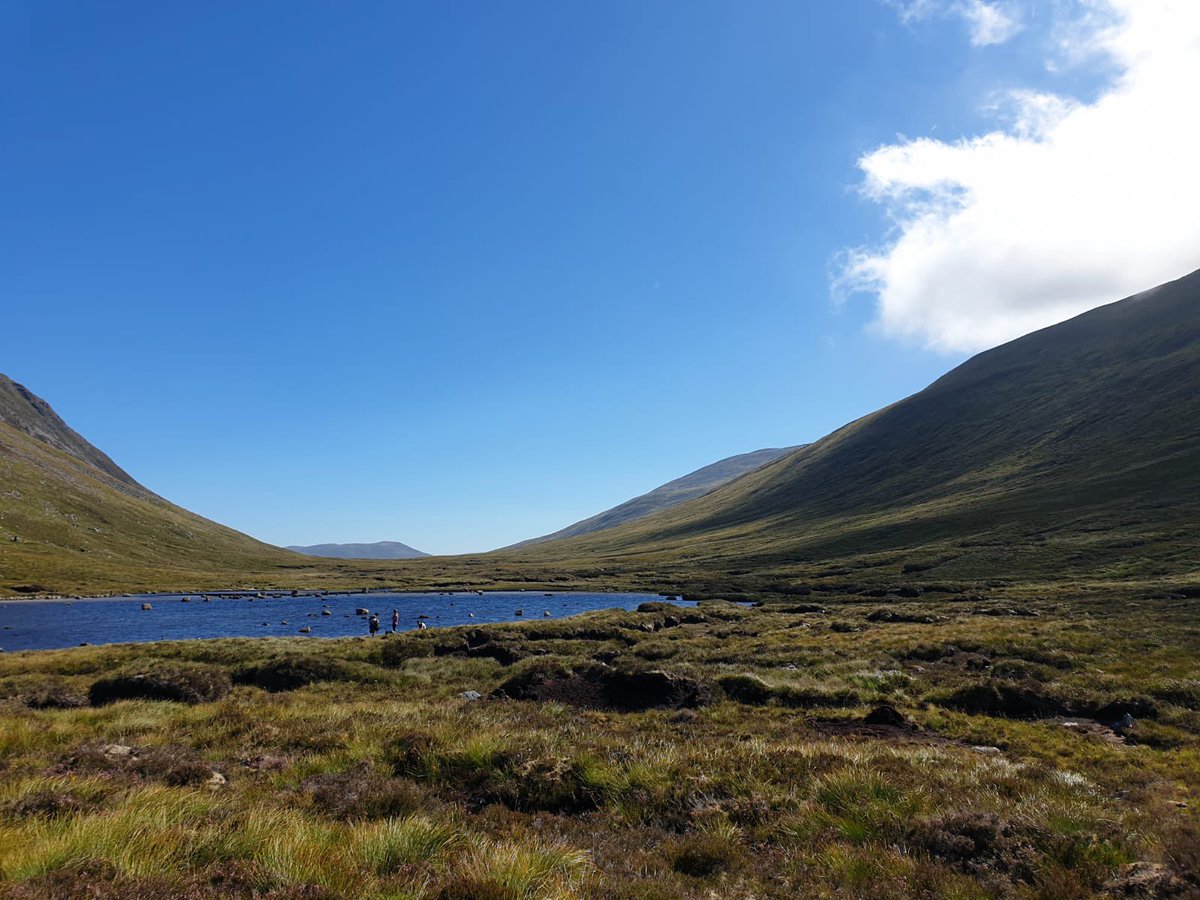 EDC Outdoor ED tweet media