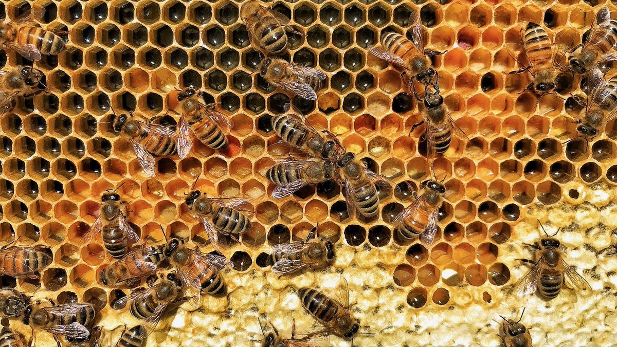 Environment911 tweet media