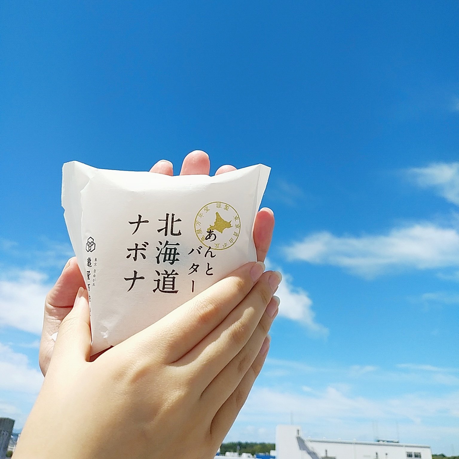 亀屋万年堂 ナボナはお菓子のホームラン王です 落ち着いてよく聞くんだ あの言葉を教えて ぼくも一緒に言う ぼくの左手に 手を乗せて 人人人人人人 ナボナ Y Y Y Y Y Y 金曜ロードショー バルス祭り あんバターナボナ