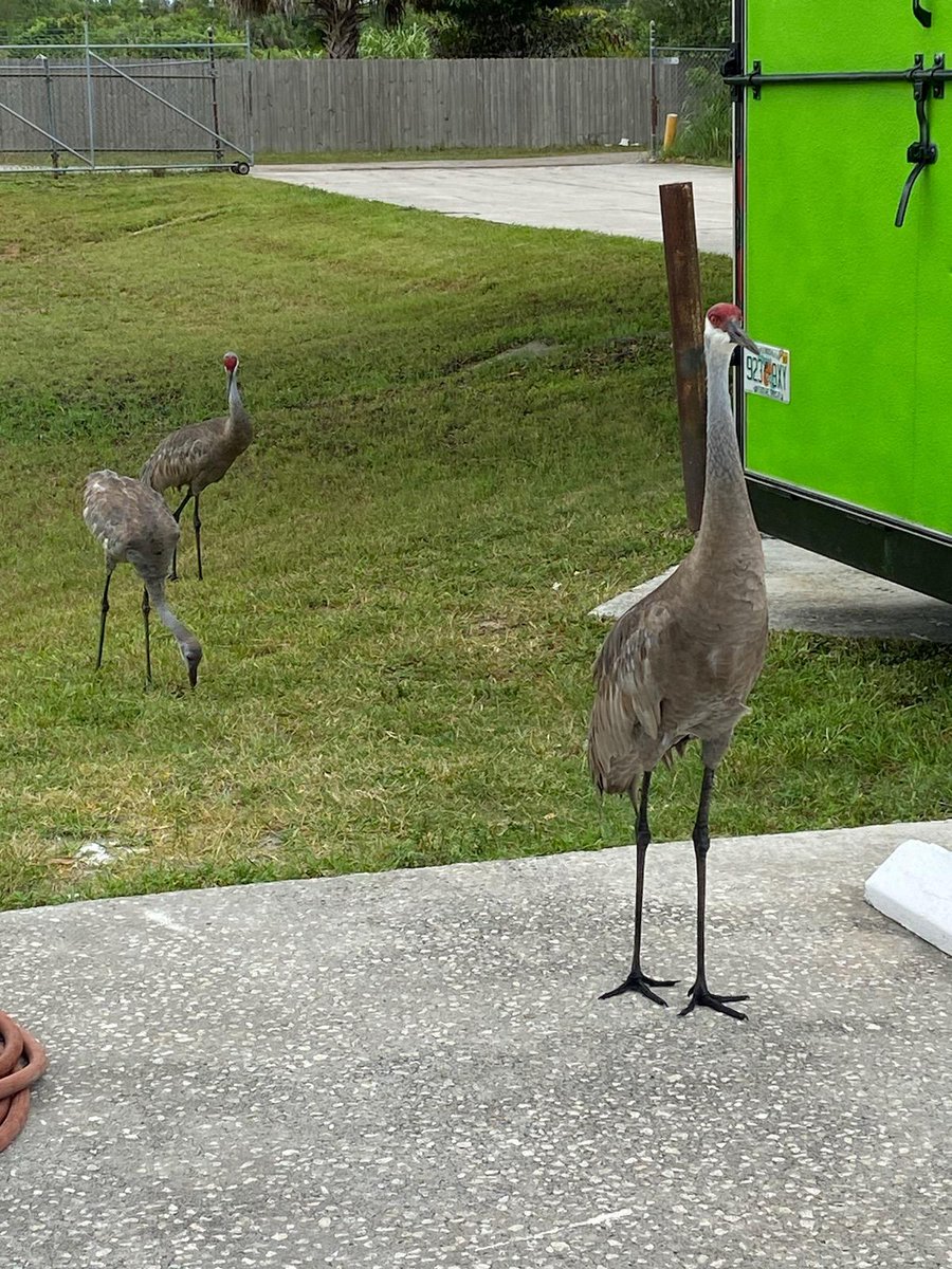 new crew arriving on time for work
