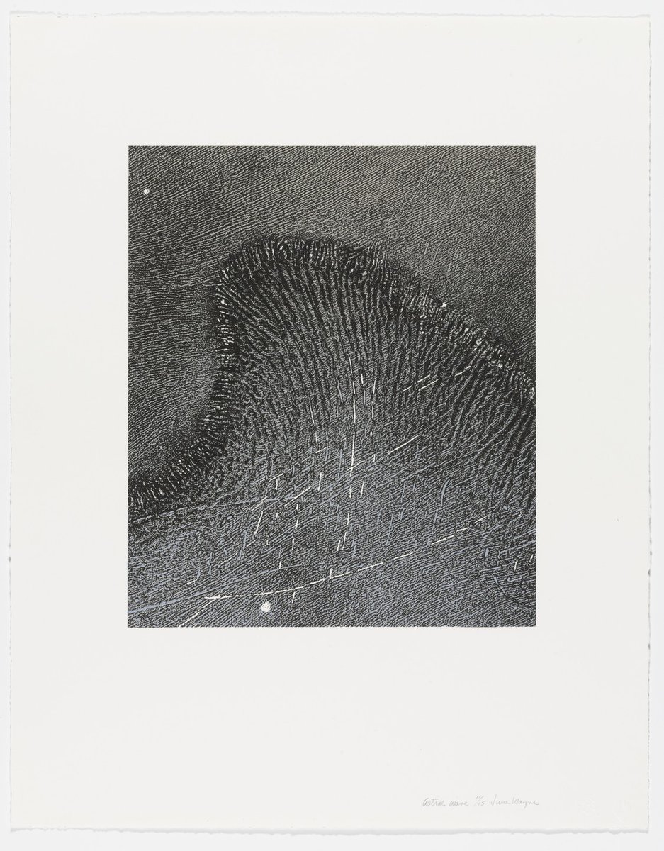 moma_drawings's tweet photo. June Wayne, Astral Wave from Stellar Winds, 1978, published 1979 #junewayne #museumofmodernart https://t.co/zw1o55TkMH https://t.co/iFhG7OUJR1