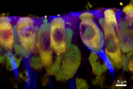 Holly Holman tweet media