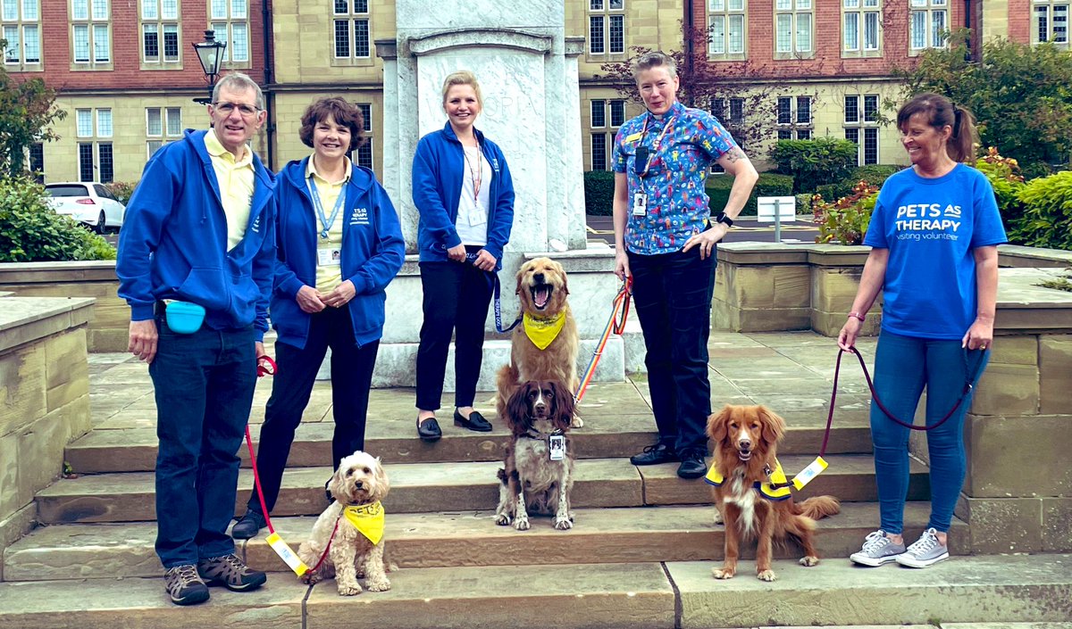 We’re so lucky to have wonderful 4-legged friends supporting our staff &amp; patients at <a href="/NewcastleHosps/">Newcastle Hospitals</a> 

#InternationalAssistanceDogWeek is a great opportunity to thank all of our therapy animals &amp; their fantastic owners who share them with us 🙏