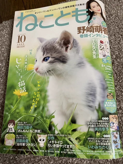 ただ今発売中の「ねことも」でミーのイラストのオリジナルQUOカードあたるみたいです。
よろしければ💖可愛い漫画ばかりの「ねことも」よろしく💖 