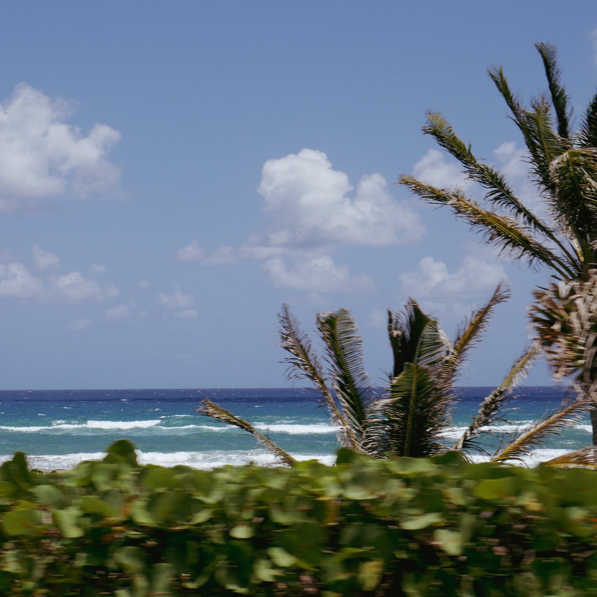 stumblesteady tweet media