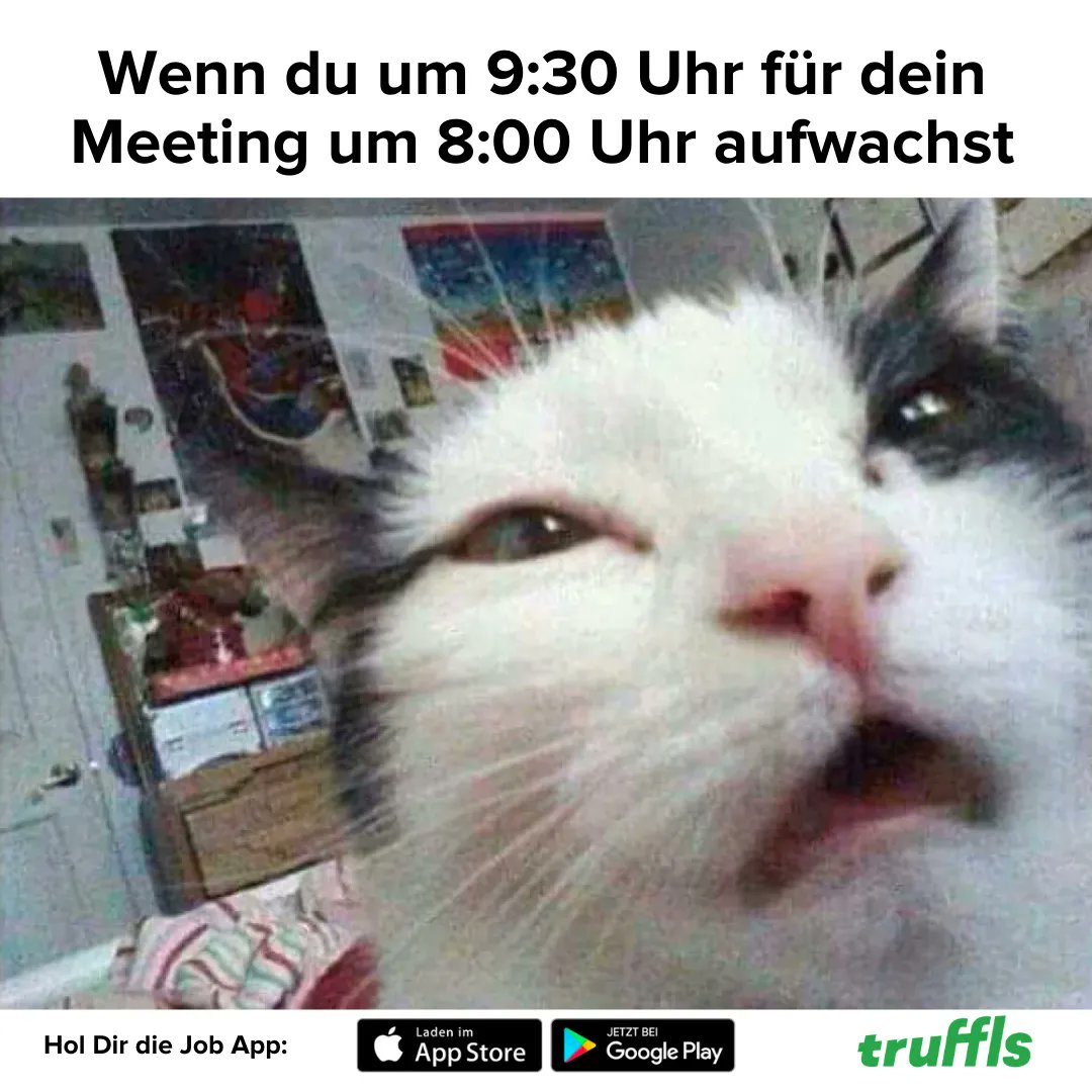truffls's tweet image. Schönes Wochenende! 😘 #meme #meeting #truffls