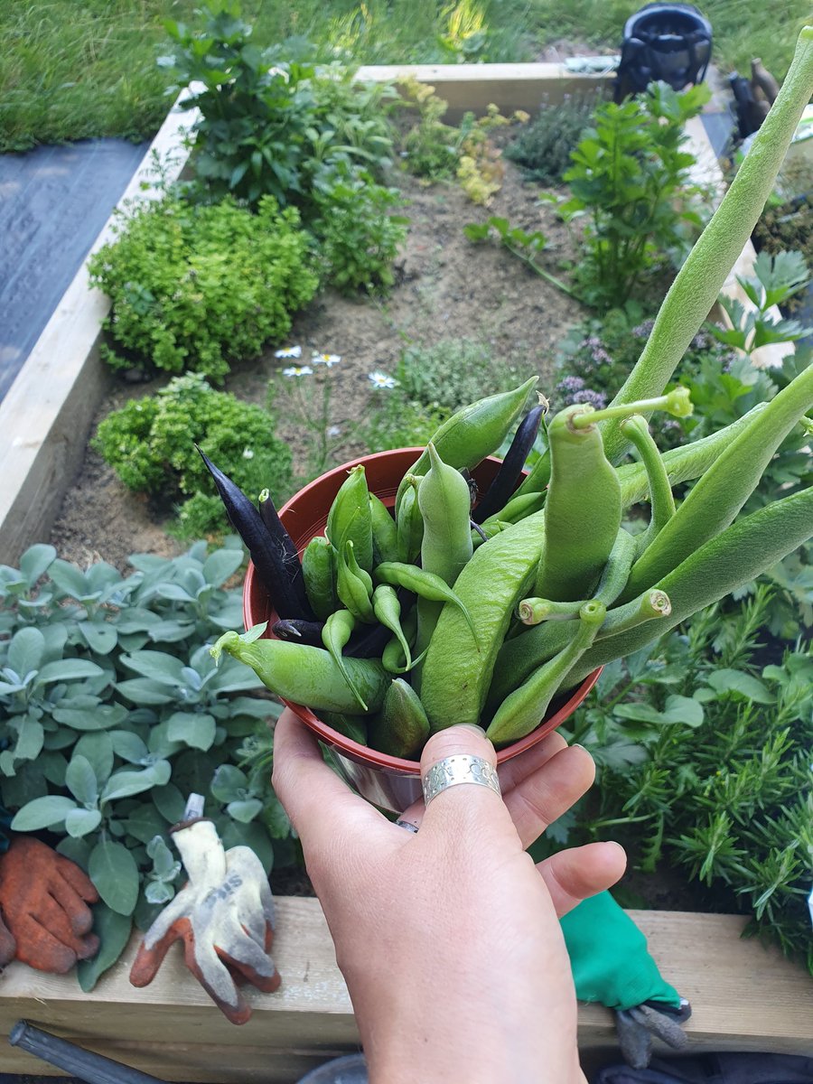 🌿🌱🌲Discover the Secret Garden🌲🌱🌿
Join us Wednesday 24th August to find out more about this wonderful space... growing together Wednesdays 10-12 every week!

<a href="/goodfoodlpool/">Good Food Liverpool</a> <a href="/livfoodgrowers/">Liverpool Food Growers Network</a> <a href="/FoodCycleLpool/">FoodCycle Liverpool</a> <a href="/4Wings1/">4Wings CIC</a>  <a href="/wdneighbourhood/">West Derby Neighbourhood Church</a> <a href="/LiveWellLpool/">LiveWellLiverpool</a> <a href="/HeatonIha/">Helen Eaton</a> <a href="/wellcometrust/">Wellcome</a>