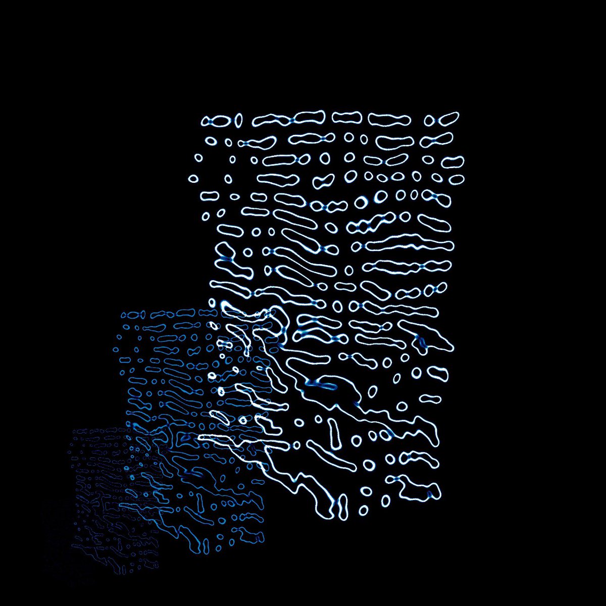 generattiv's tweet photo. Connections 

Created using TouchDesigner

#abstract #abstractart #abstractmag #art
#artwork #constructivism #constructiveart
#contemporaryabstract #contemporaryart
#digitalart #minimalism #modernart
#galleryofart #instaart #visualart
#artoftheday #moma #minimalism
#explorepage https://t.co/H7OIYteZNH