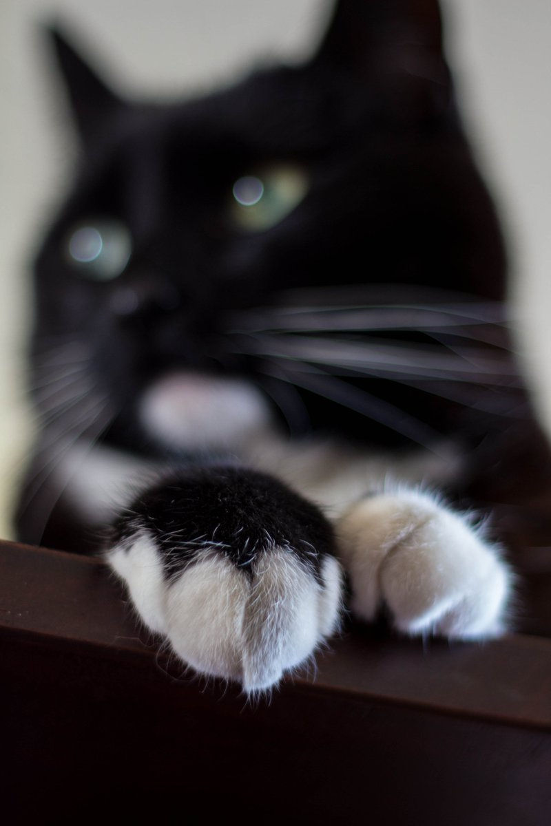 Tim Benniks tweet media