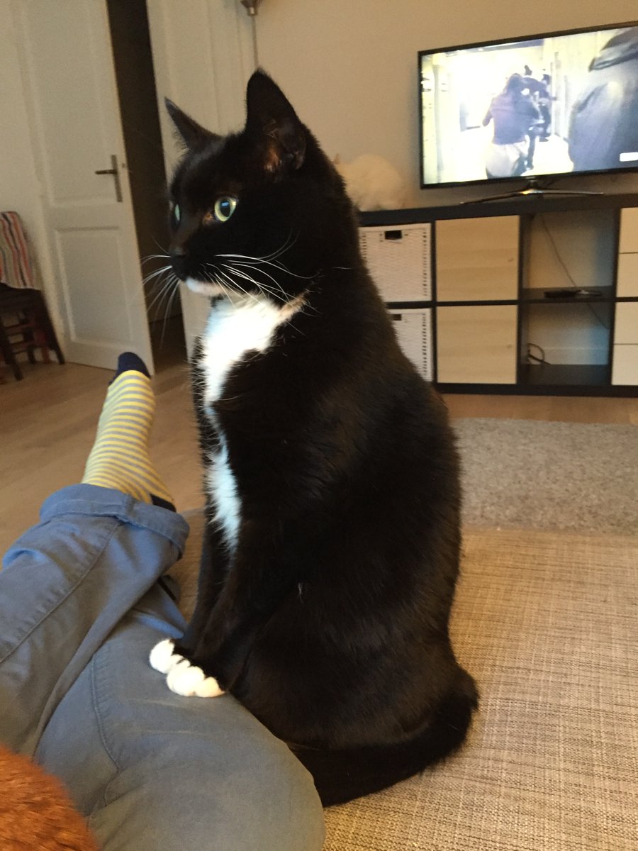 Tim Benniks tweet media