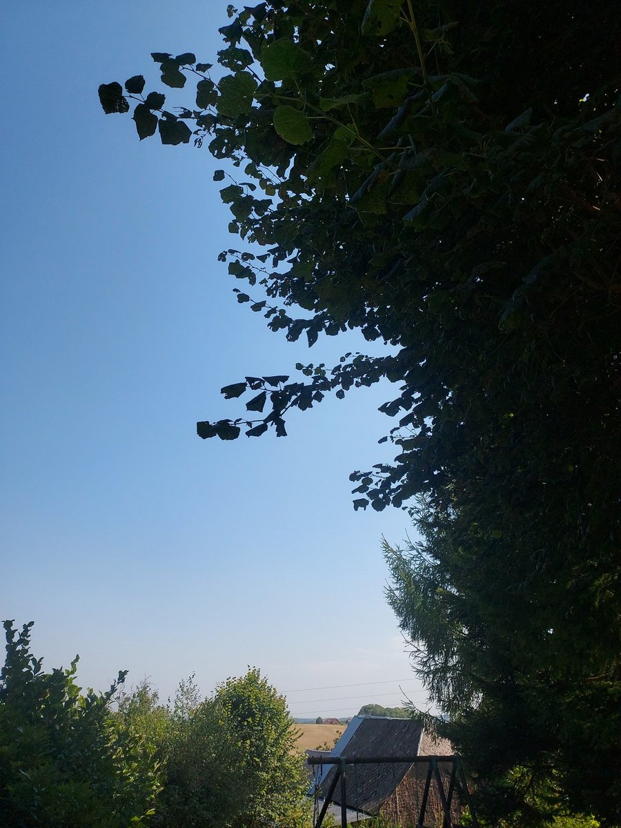 Emmy Perkins tweet media