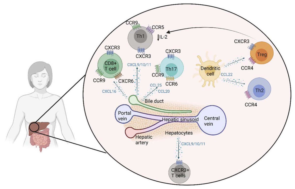 Amber Bozward tweet media