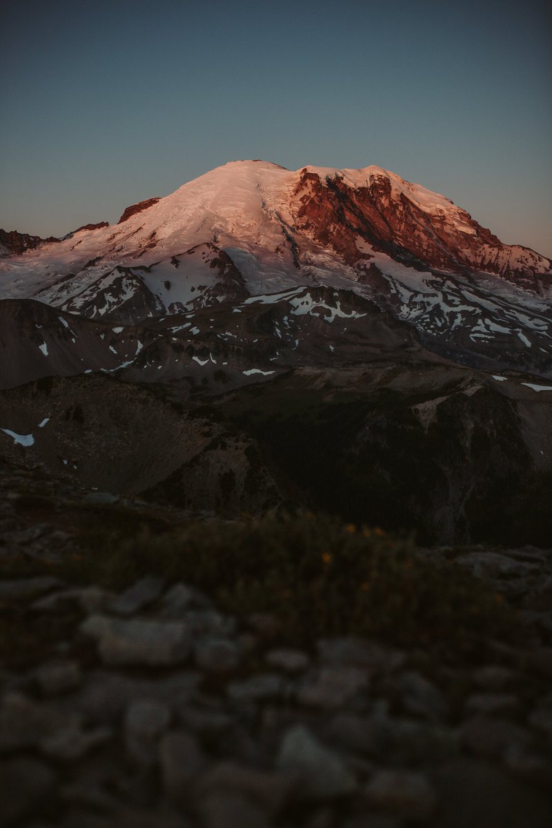 ✰°•. 𐦍 Lyss 𐦍.•°✰ tweet media