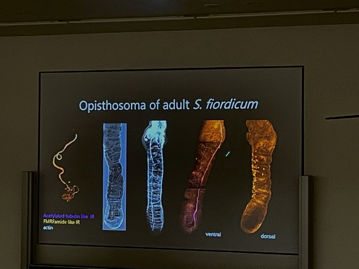 Brett C. Gonzalez, PhD tweet media