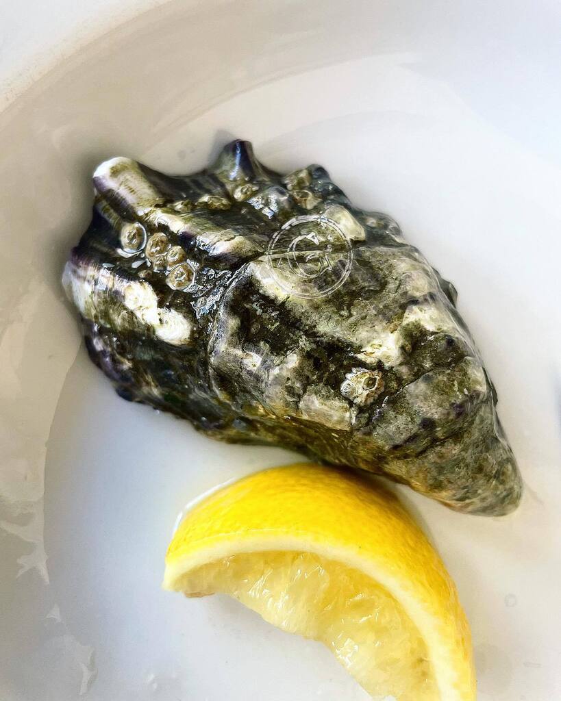 ruthspivey_'s tweet photo. OG. Label
#gillardeau #oysters #bibendum #michelin #chablis #billaudsimon #london #finedining #food #glabel #seafood #wine #burgundy https://t.co/Lh61rzjV7h