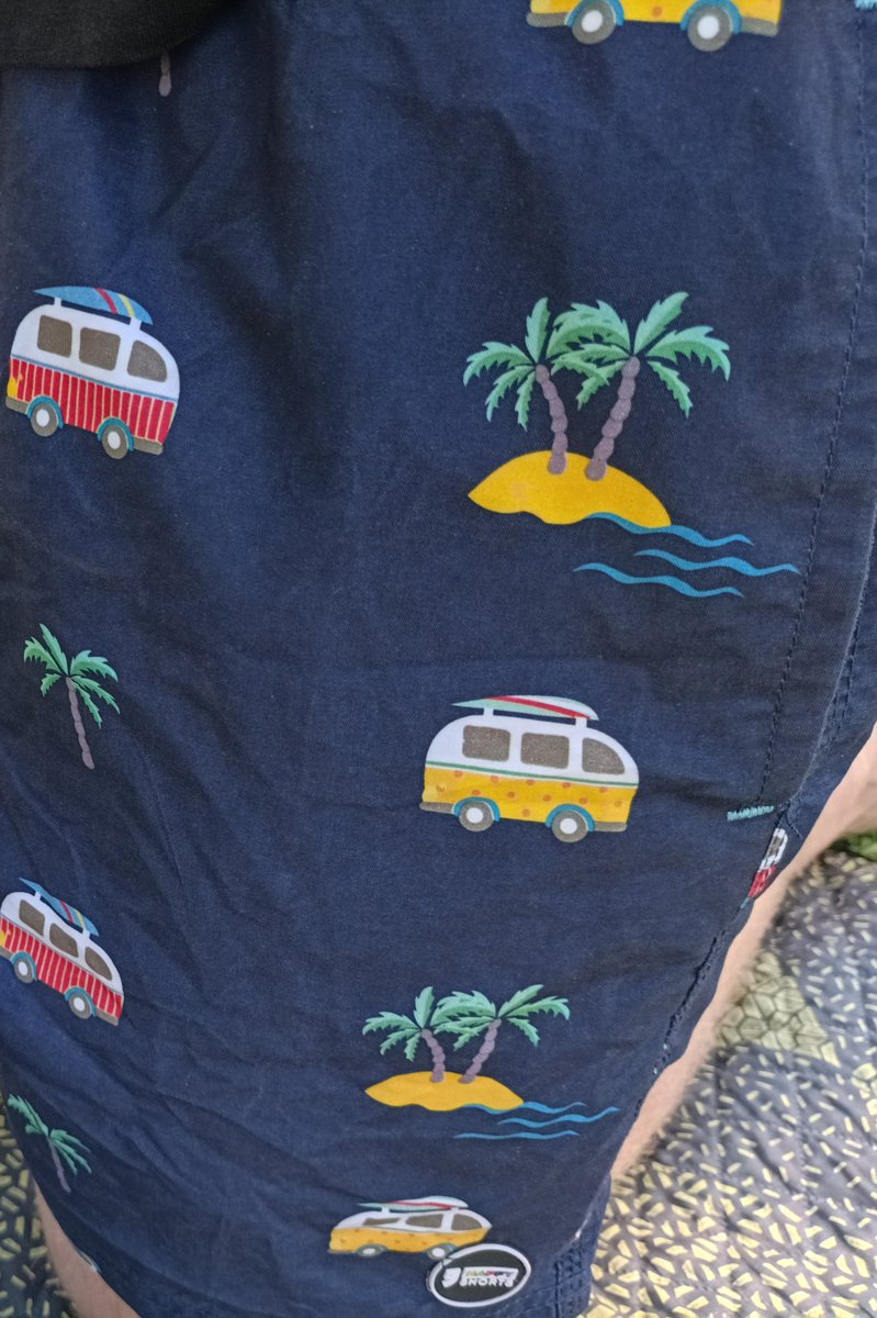 lessigunterwegs's tweet photo. Badehose mit Campermotiv von #happyshorts Mir wäre ein #Alkoven lieber gewesen, aber ich will da nicht meckern. #Vanlife #Wohnmobil #Urlaub https://t.co/v5S2lnYwNf